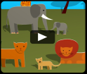 Animals of the African savannah video